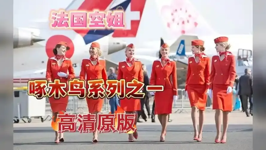 《法国空姐4》资源下载-法国空姐4免费观看完整版-法国空姐2019满天星法版HD高清-法国空姐1-3季全集在线观看