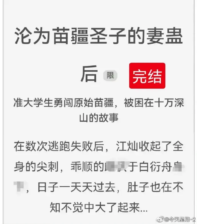 《沦为苗疆圣子的妻蛊后》免费阅读-txt全集下载-狐狸雨小说沦为苗疆圣子的妻蛊后完整版百度云在线阅读